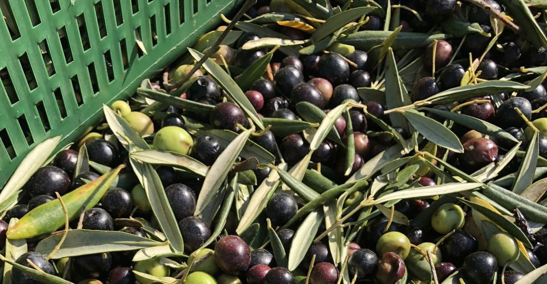 Pare de escolher seu azeite pela acidez